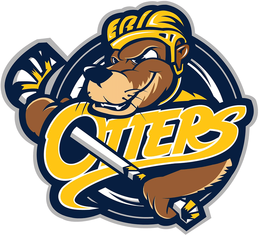 Erie Otters 2019-Pres Primary Logo iron on transfers for clothing
